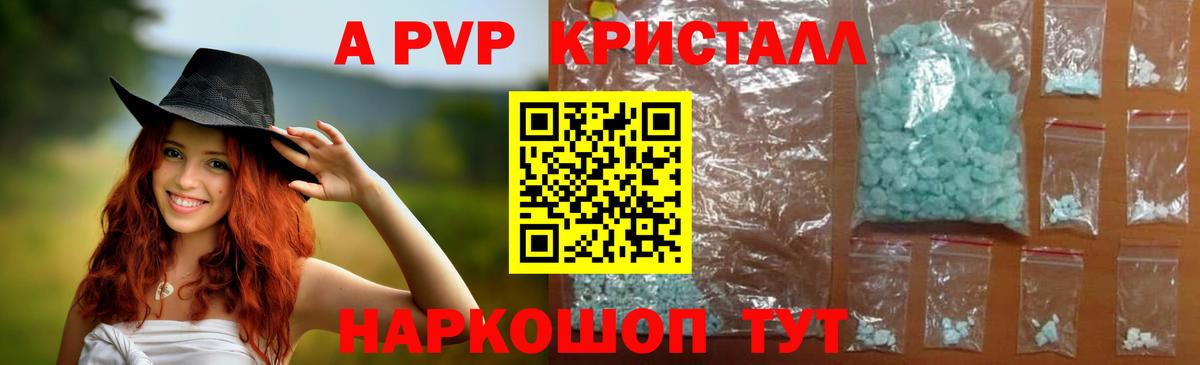 A PVP СК Реутов