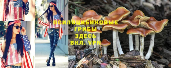 a pvp Нефтегорск