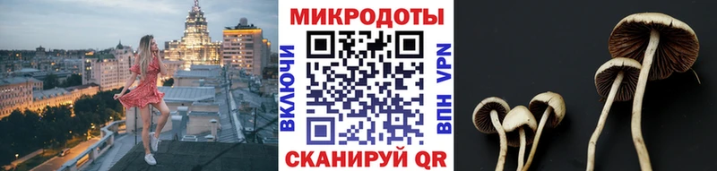 Псилоцибиновые грибы мицелий  OMG ссылка  Реутов  где можно купить  
