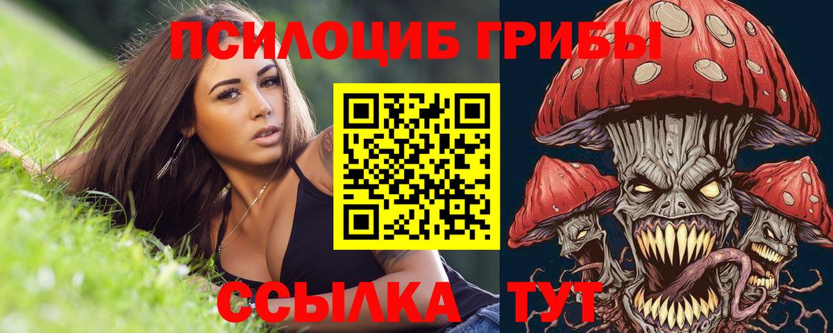 Реутов  Галлюциногенные грибы ЛСД  Вход с VPN 