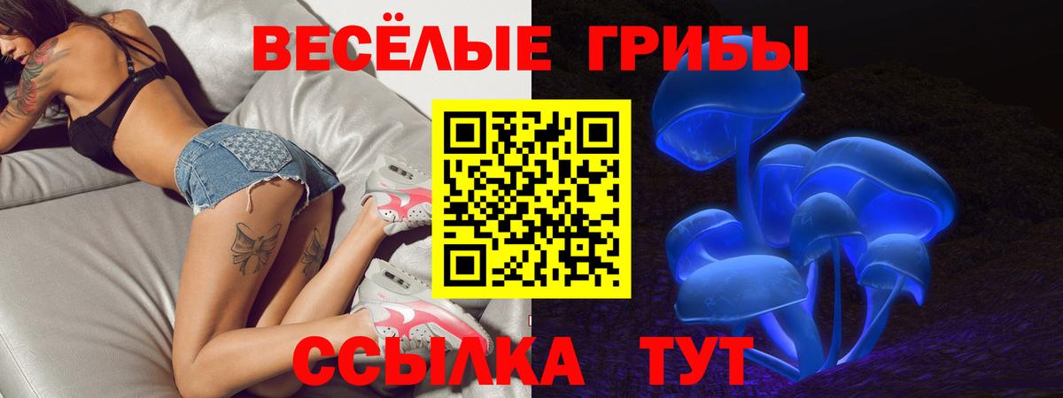 Псилоцибиновые грибы прущие грибы  Галлюциногенные грибы Psilocybe  Реутов  Вход с VPN 